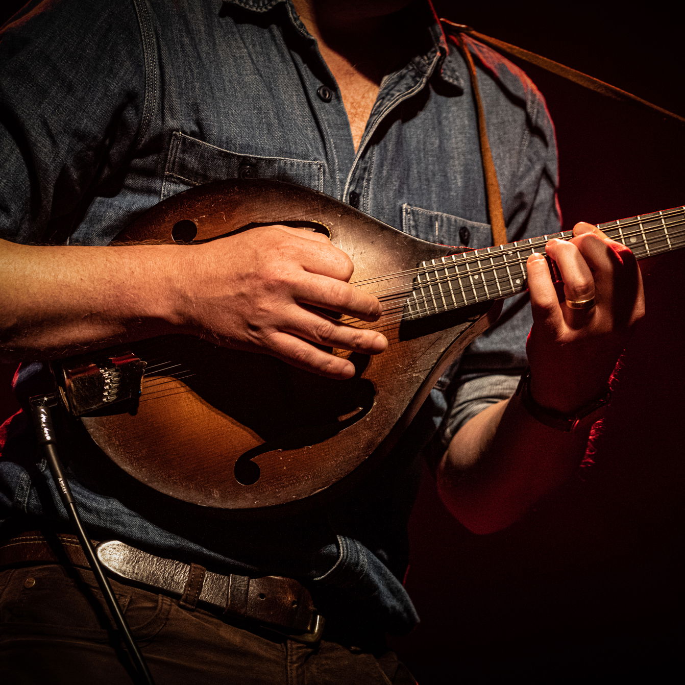 Tuinconcert -Rob Heron & the Tea Pad Orchestra - 2022