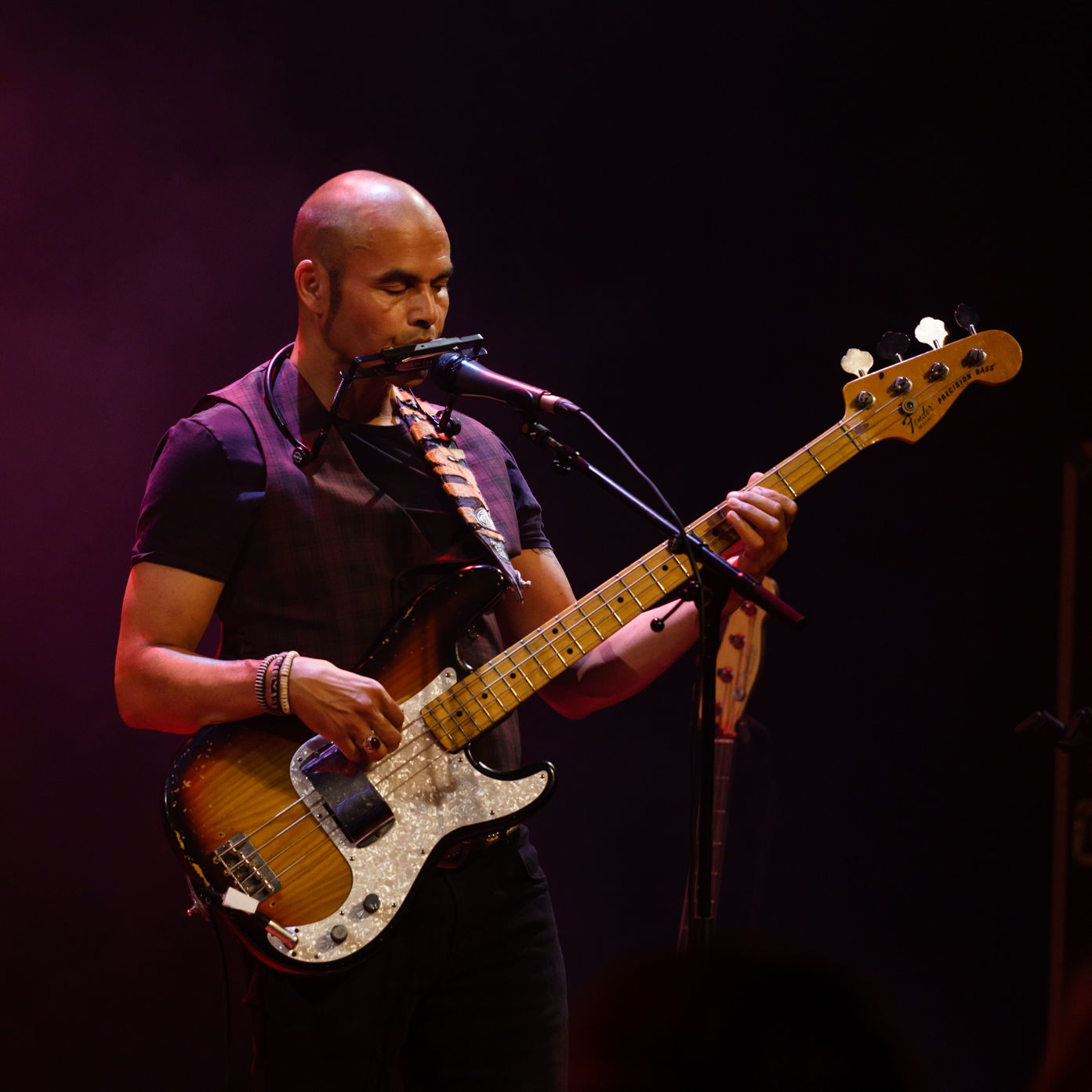 Het tuinconcert van Van Dik Hout op 24 juli 2021 werd verplaatst naar de Tamboerzaal. Photo Anya maakte foto's van het concert in Hoogeveen.